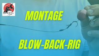 MONTAGE BLOW-BACK-RIG - PECHE A LA CARPE