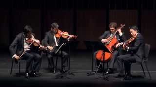 Franz Schubert： Quartettsatz in C-moll, D. 703