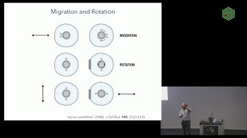 EMBL Keynote Lecture - Career talk, Anthony Hyman
