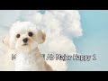 Lo-Fi Ambient BGM Study/Work/Relax [勉強/作業/リラックスBGM] Major & Minor Collection