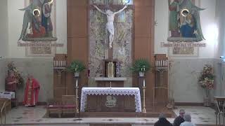 St. Dominic Parish Delhi Cincinnati, Ohio Live Stream