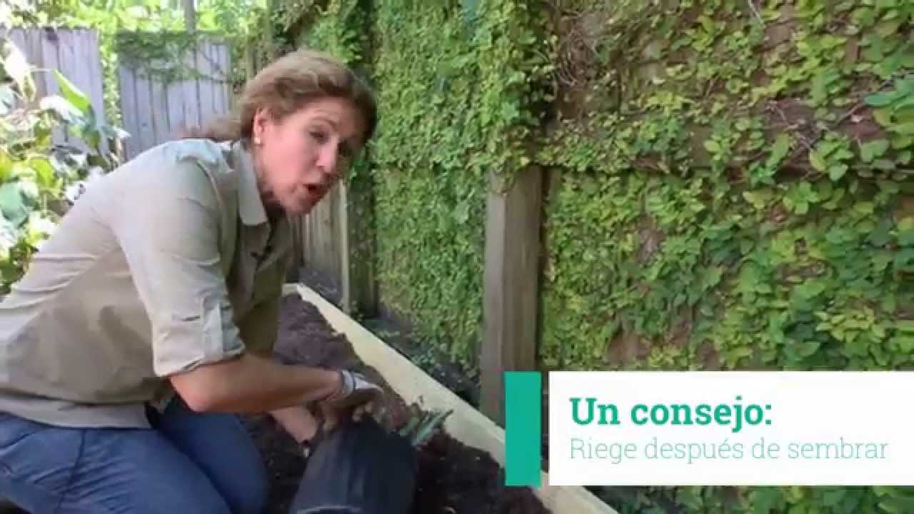 Aprende a Transplantar de un Tiesto a Tu Desert Escape