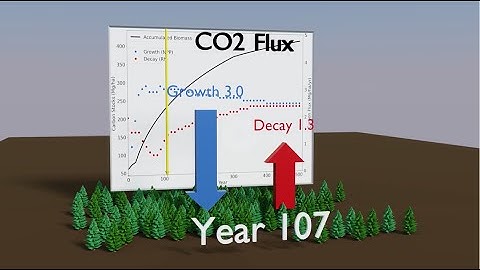 CO2 Flux