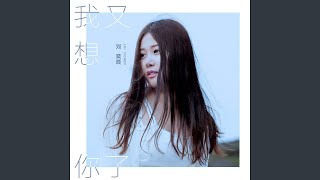 我又想你了 (DJ Wave版)