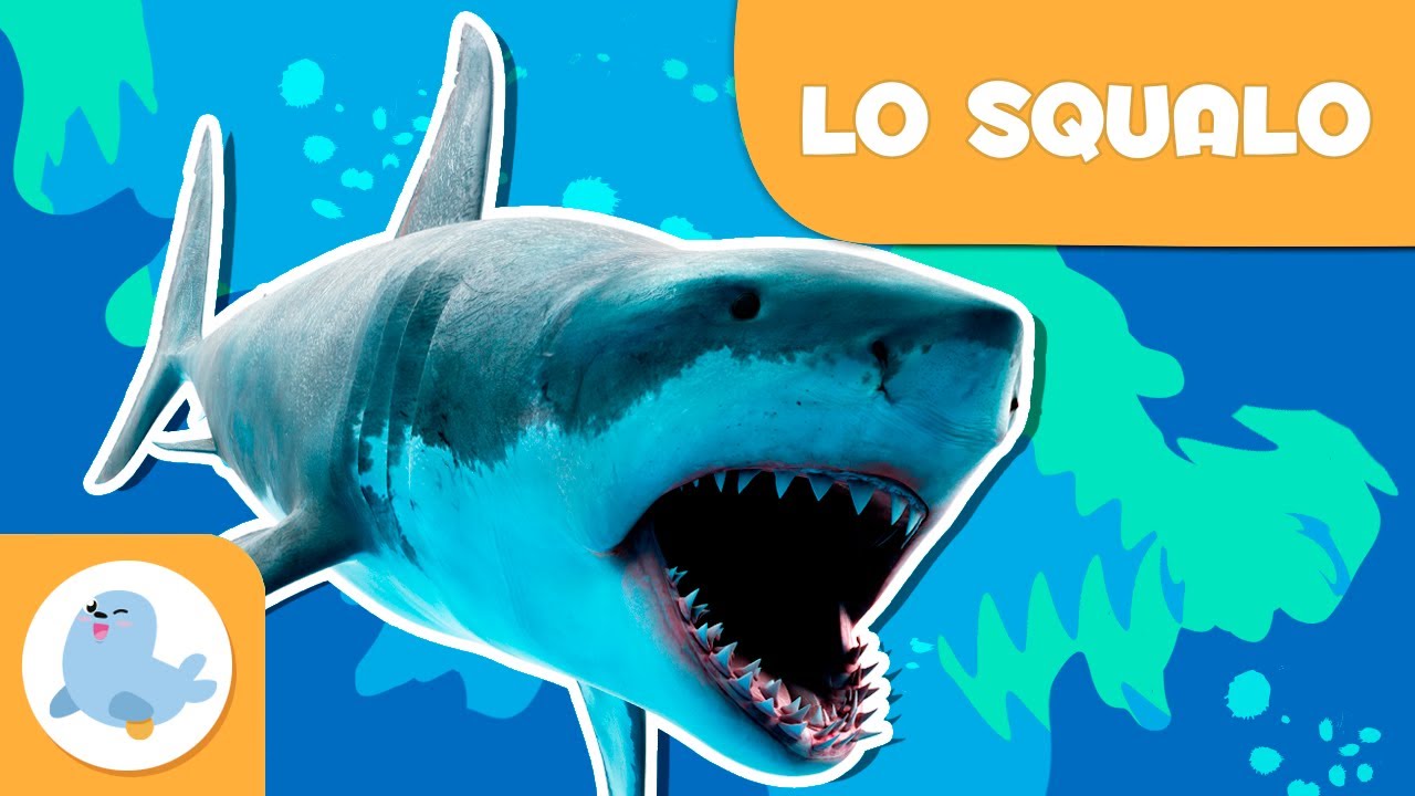 Lo squalo 🦈 Animali per bambini 🌊 Episodio 8