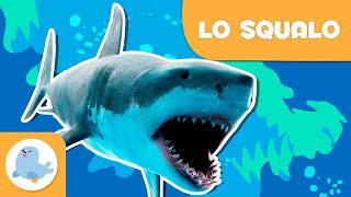 Lo squalo 🦈 Animali per bambini 🌊 Episodio 8 screenshot 1