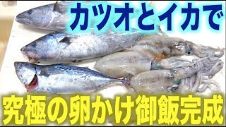 カツオとイカで究極の卵かけ御飯!?
