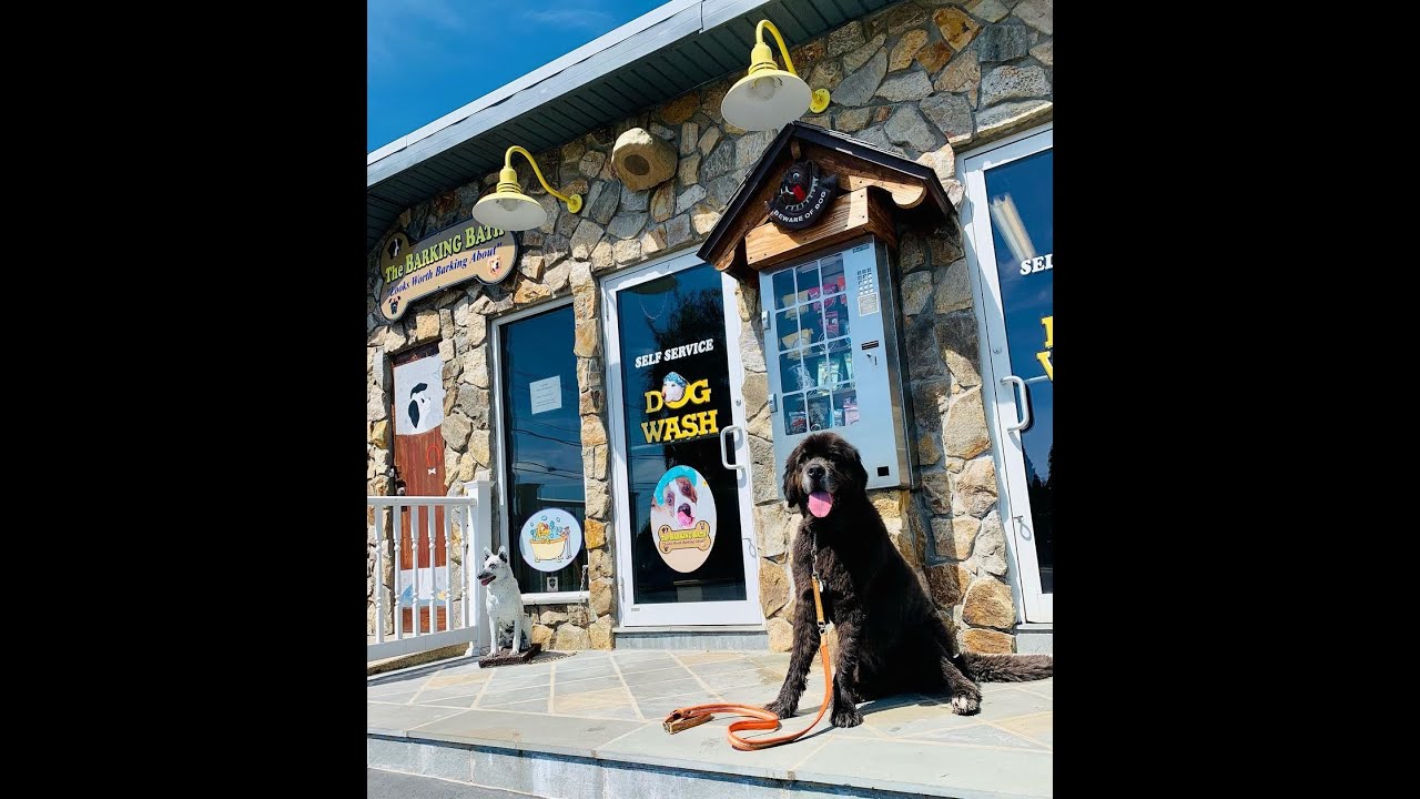 Video instructions on how to use The Barking Bath. A self serve dog wash attached to Buggy Car