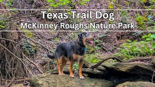 Hiking McKinney Roughs Nature Park: A Central Texas Adventure