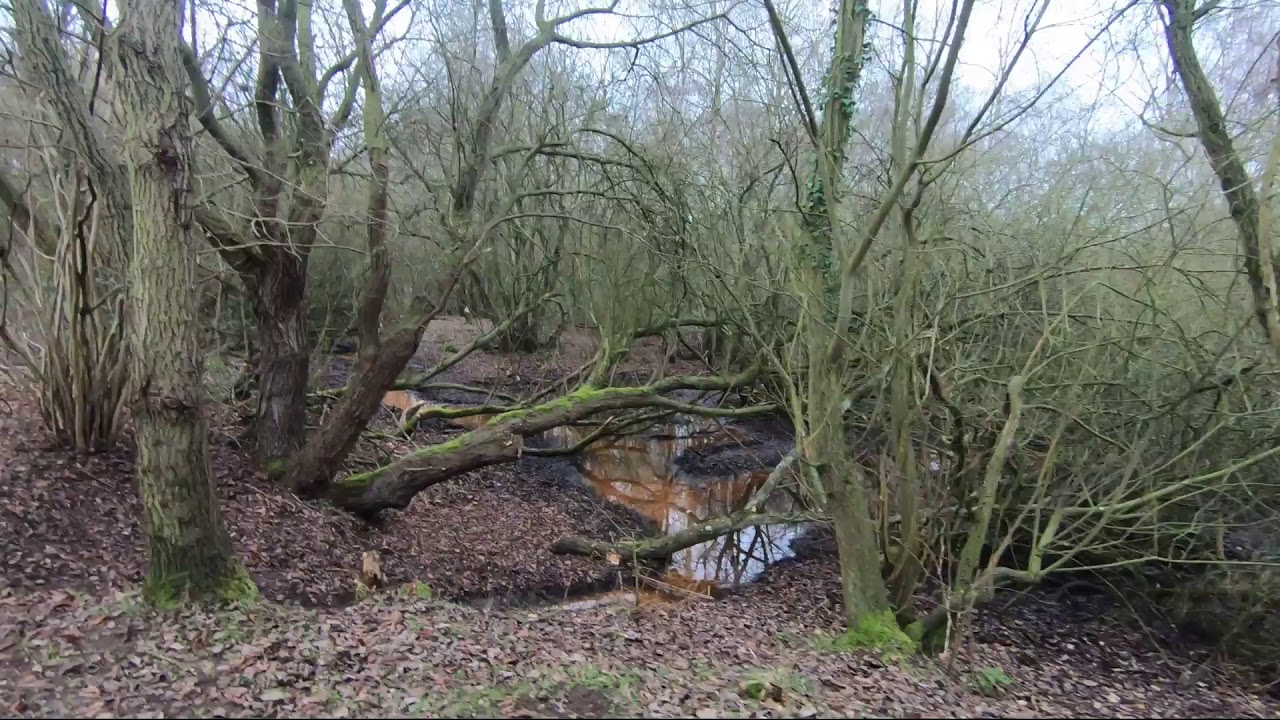 Silica Lodge Fishery scunthorpe YouTube