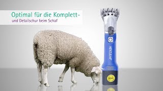 AESCULAP®  Battery-Operated Clipper Econom CL for Sheep Shearing by Aesculap Schermaschinen GmbH 1,955 views 5 years ago 2 minutes, 4 seconds
