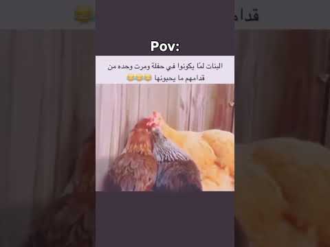 هاذا البنات لماتمشي بنات من مقدامهن مايحبونها