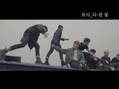 로시-다 핀 꽃 방탄소년단(BTS) 뮤비/가사