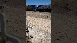 Tren 206 y 201