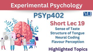 PSYp402 Short Lecture 19_Sense of Taste_Structure of Tongue_Neural Coding_Skin_Psy402 Lec 19_Final