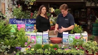 Stonington Plant Food 5-2-4
