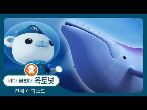 바다 탐험대 옥토넛 - 🔦 알비노 혹등고래 🐋 - 모음집