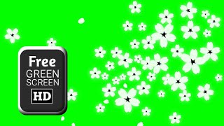 Flower petals falling green screen video effects | Green screen flower falling animation