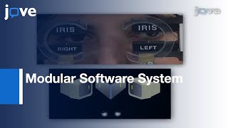 VisualEyes: Modular Software System For Oculomotor Experimentation l Protocol Preview screenshot 4