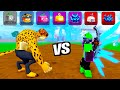 I 1v1d every fruit in blox fruits