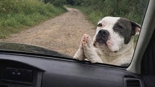 She Stopped Our Car and Begged for Help — What She Led Us to Was Heartbreaking!