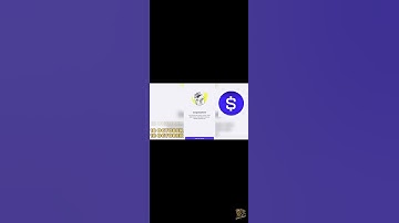 When did Cardano launch its smart contract functionality with the Alonzo upgrade? | Time Farm 18 Oct