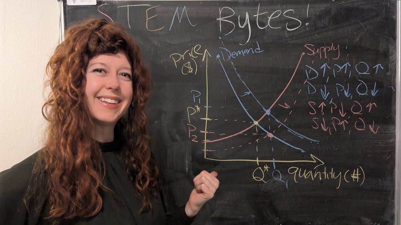 Supply and Demand curves 101: a beginner friendly intro to economics ...