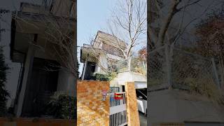 This House Is Not For The Faint-Hearted