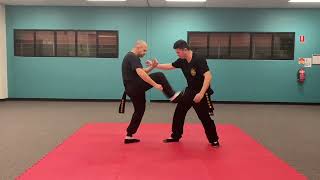 Advanced Wing Chun techniques screenshot 2
