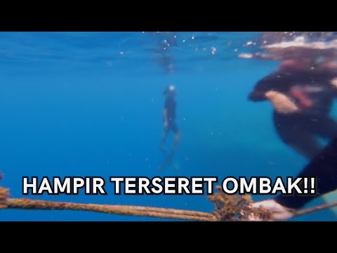 Berenang Di Laut Dengan Mitos Kraken Versi Lokal (Sulawesi Tenggara )