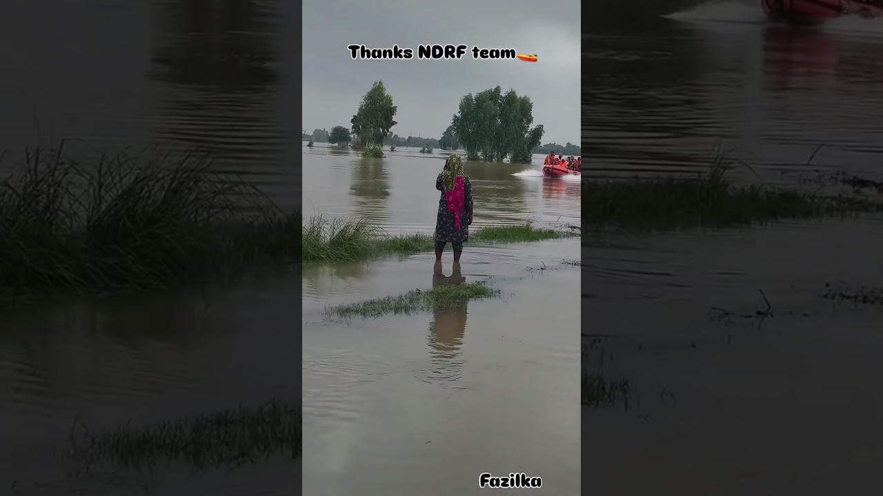 NDRF team in my village sadda singh fazilka 