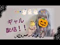 🎃10月ライブ byギャルなぎ🎃