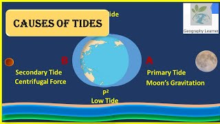causes of the tides