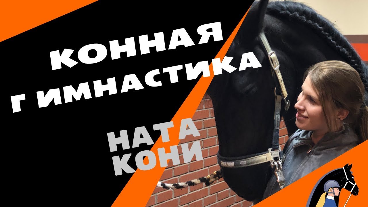 Гимнастика для лошади / Ната Кони
