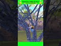 New Update🔥 Magical Tree Glitch #shorts #bgmi #pubg #trickiiboy