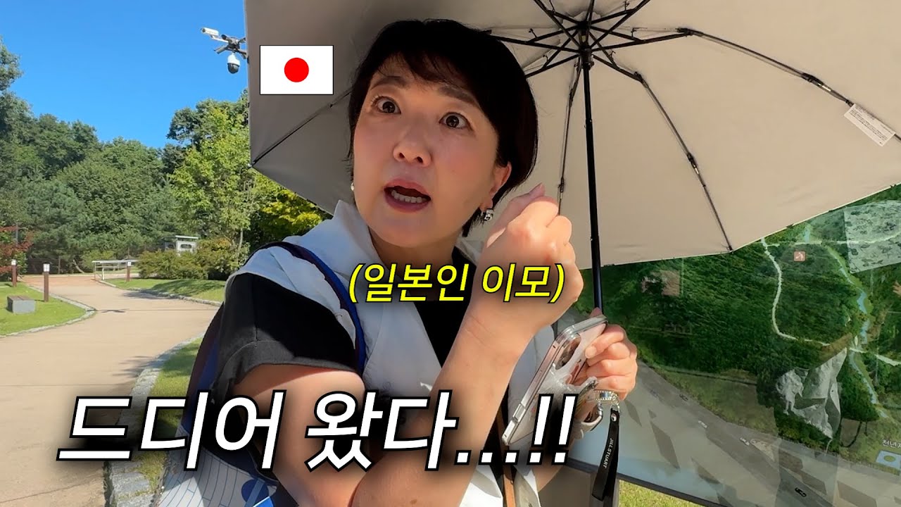 일본인 이모가 한국에서 꿈을 이뤘습니다…