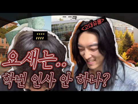 [브이로그] ??? : 선배요? 스트리머 아니세요?