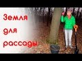 Состав грунта универсального  Делаем сами