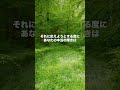 見た時がタイミング✨何が正解かって？あなたの感覚が正解だよ☺️✨