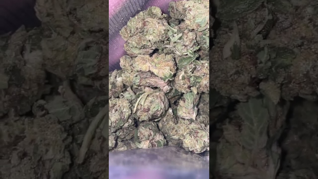 Beautiful fat nugs from the homies 