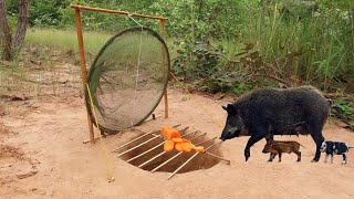 Best Unique Creative Underground Wild Pig Trap Make From Nets Deep Hole Trap That Work 100%