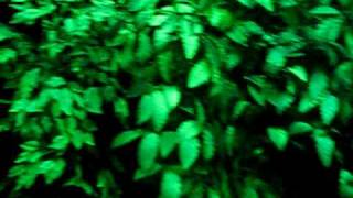 Glow Putt - Part 1