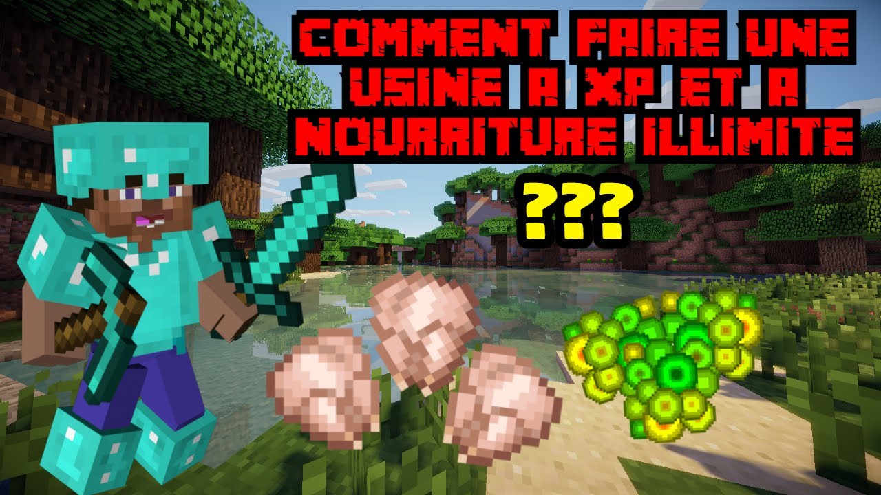 COMMENT FAIRE UNE USINE A XP ET A NOURRITURE ILLIMITE 100% AUTOMATIQUE