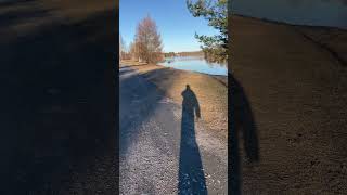 Spring Day On The River