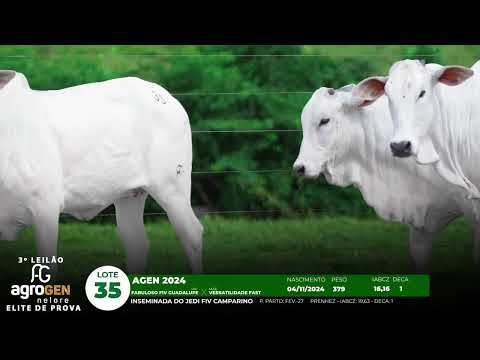LOTE 35