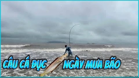 Câu Cá Đục Ngày Mưa Bão | AE Dân Biển Vlogs