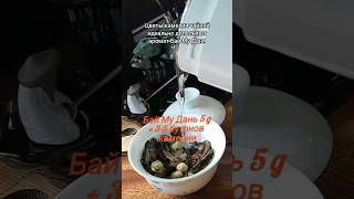 Бай Му Дань с цветами камелии: медовая гармония #китайскийчай #gongfucha #tcm #рецепт