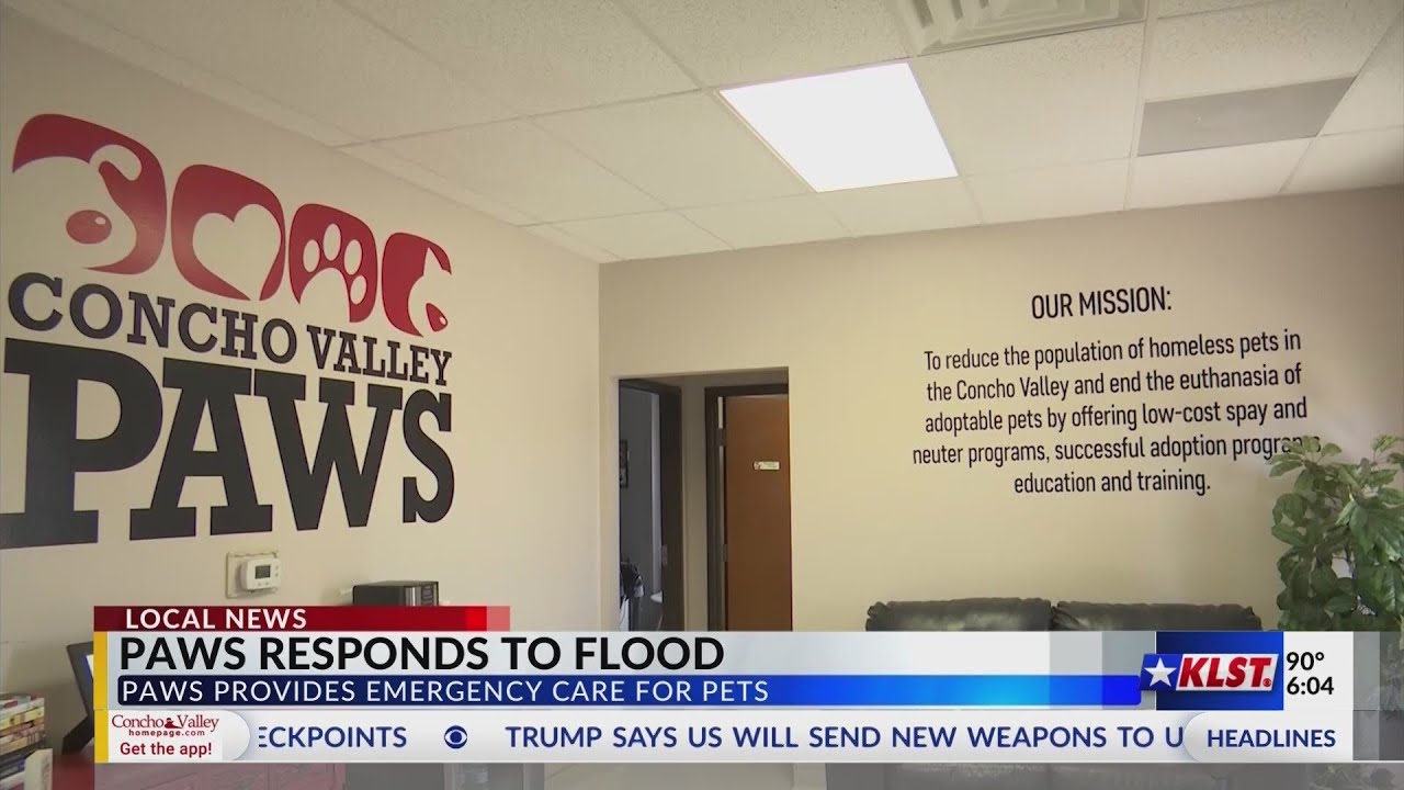 Concho Valley PAWS calls for aid for flood victims and pets - YouTube