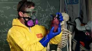 Cooks & Cleans - Trailer