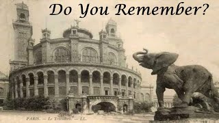 Celebrity The Elephant in the Room! The Awakening Collective Memory! 🤯 Net Worth